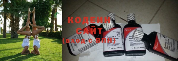 эйфоретик Аркадак