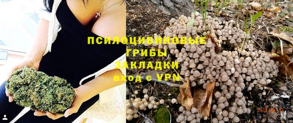 эйфоретик Аркадак